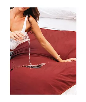 Bamboujee Waterproof Sheet