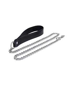 Delta Collar And Leash