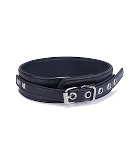 Delta Collar And Leash