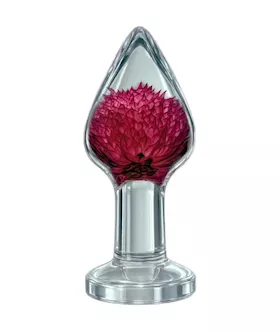 Gomphrena Globosa Anal Plug