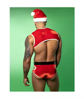 Sexy Santa Costume
