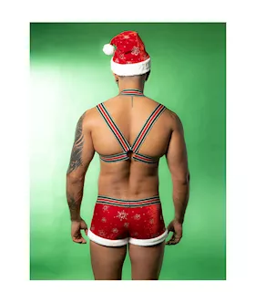 Santa's Helper Costume