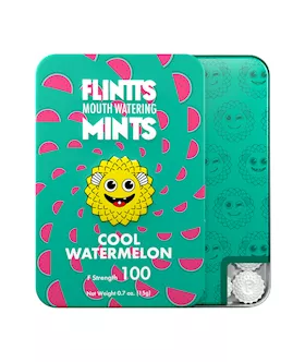 Flintts Mouth Watering Mints  Cool Watermelon