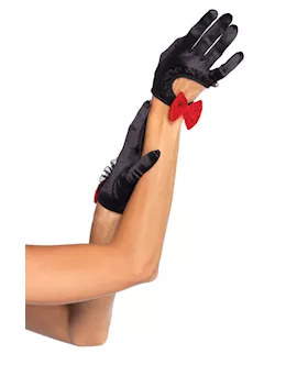 Bq Satin Glove W Velvet Chiffon