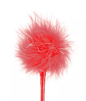Ff Feather Crop