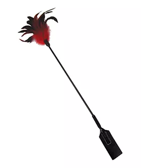 Sex And Mischief Feather Slapper