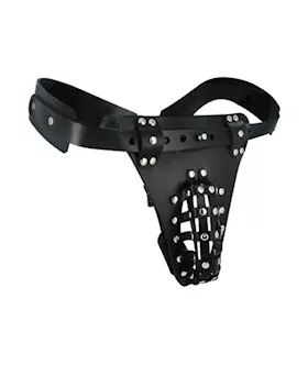 The Safety Net Leather Male Chastity Belt With Anal Plug Harness