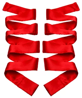 Scarlet  Satin Sash Set