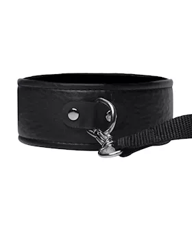 Frisky Beginner Leash and Collar set