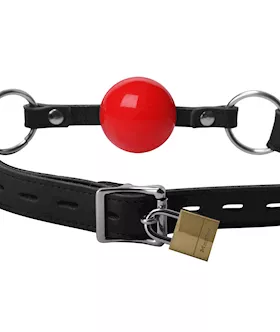 Classic Locking Silicone Ball Gag