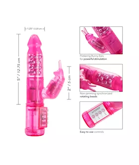 My First Jack Rabbit