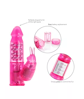 My First Jack Rabbit