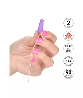 Whisper Micro Heated Bullet