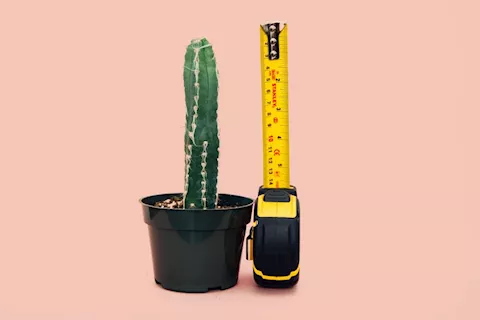 The Best Products for Penis Enlargement (That Can Actually Help)
