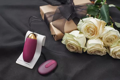 5 Remote-Controlled Sex Toys to Spice Up Your Sex Life