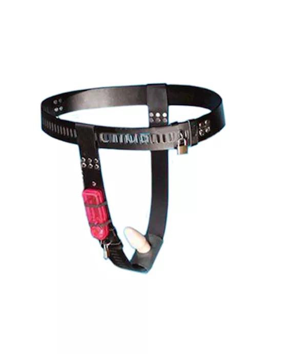 vibe anal toy chastity belt