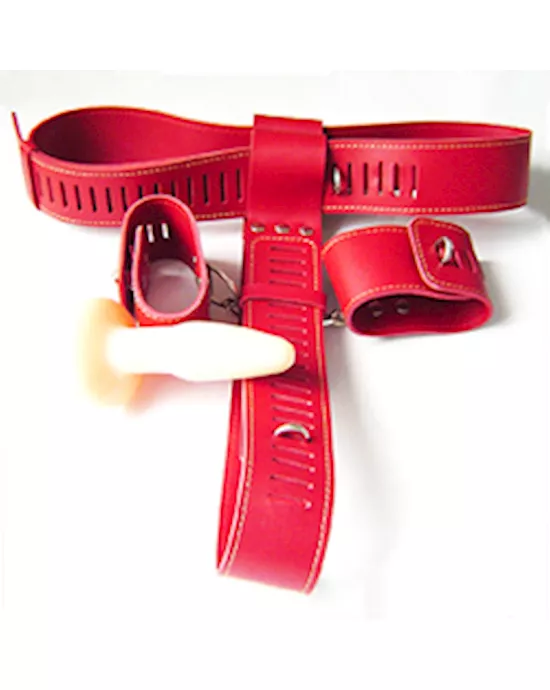 safely locked away chastity