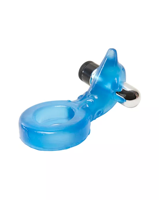 Jelly Dolphin