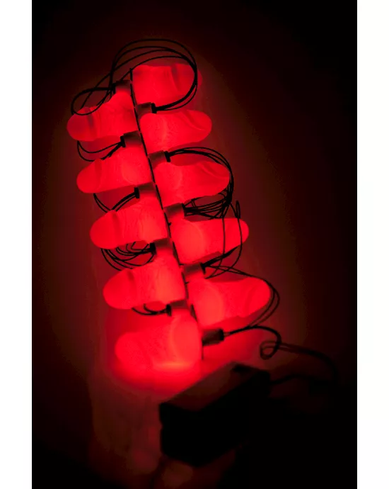 hens night penis party lights