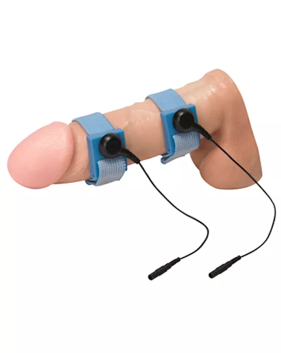 Zeus Electrosex Penis Bands