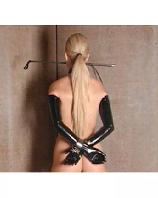 Shoulder Length Latex Gloves