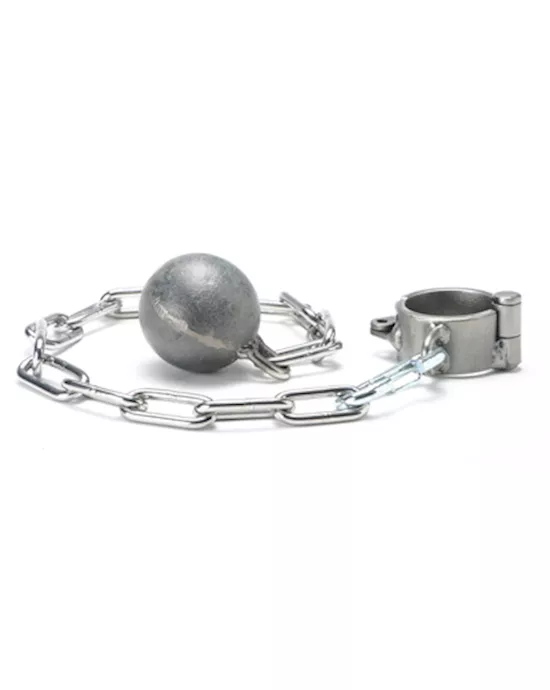 Cock Ring and Ball Weight Set