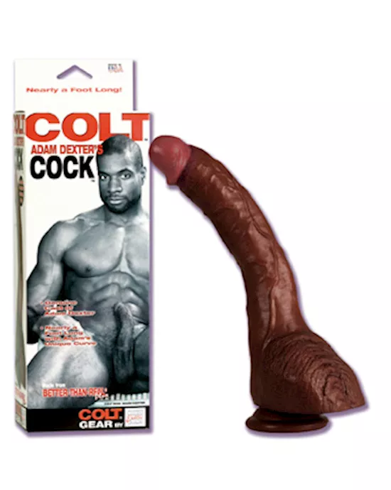 Colt Adam Dexter Cock
