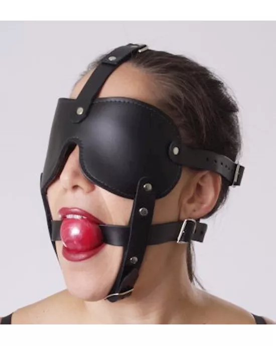Gag and Blindfold Head Harness