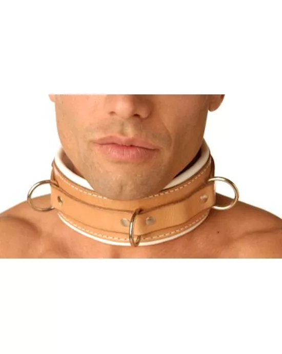 Strict Leather Padded Hospital Style Restraint Collar