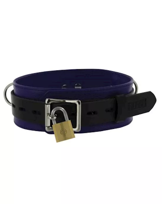 Strict Leather Deluxe Locking Collar  and