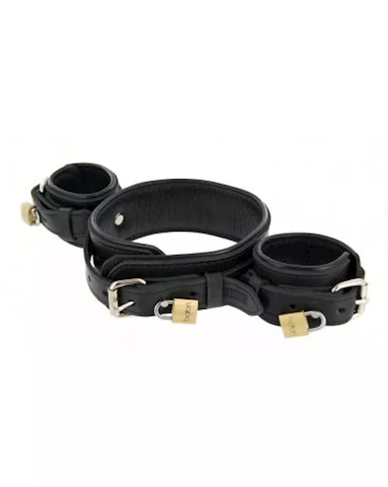 Strict Leather Wrist To Neck Restraint