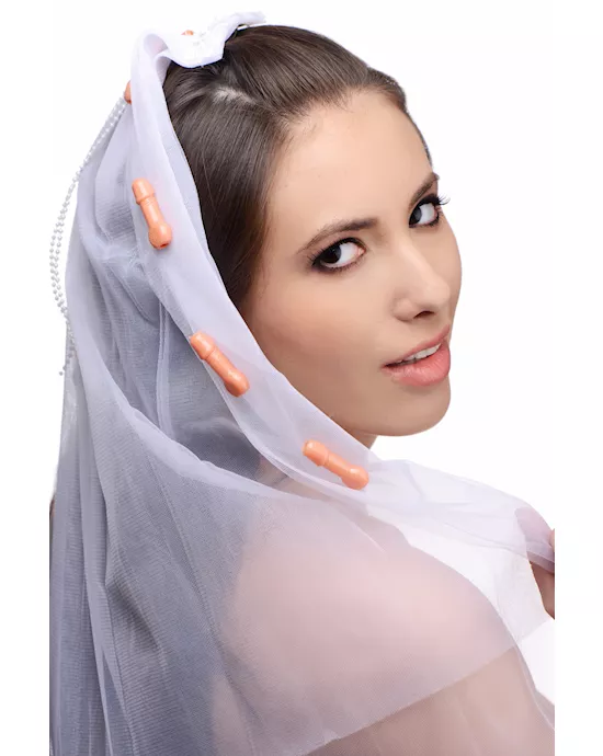 Bachelorette Party Penis Bridal Veil