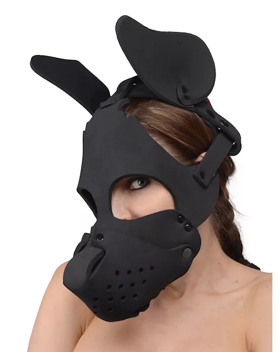 Neoprene Dog Hood with Removable Muzzle