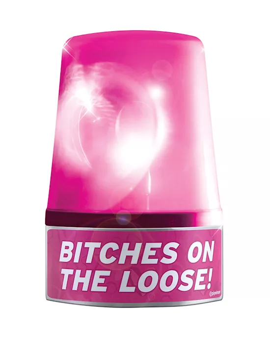 Party Favors Spinning Party Light