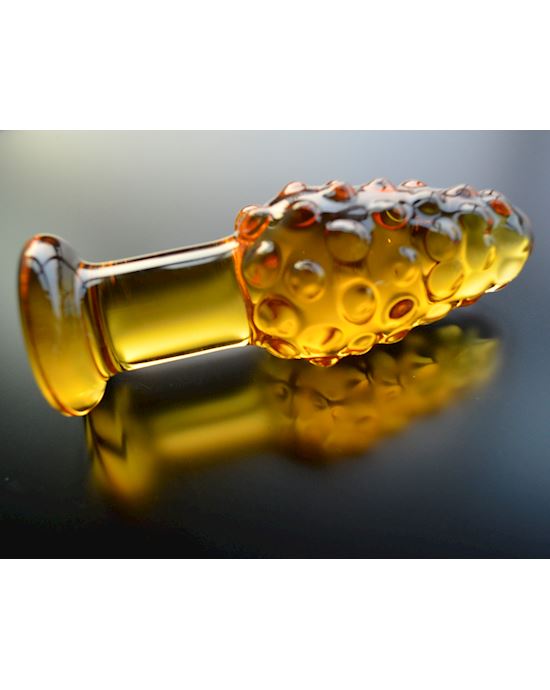 Shiny Anal Plug