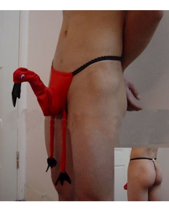 Mr Crane Thong