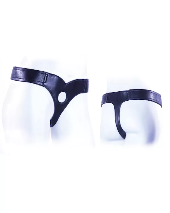 EZ Connoisseur Harness