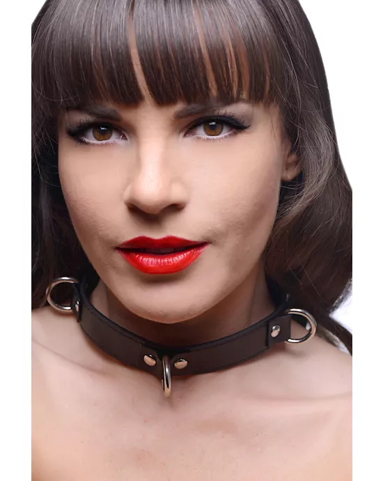 Slim Adjustable Snap Collar with D-Rings