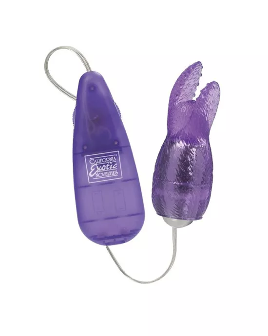 Hi-intensity Snow Bunny