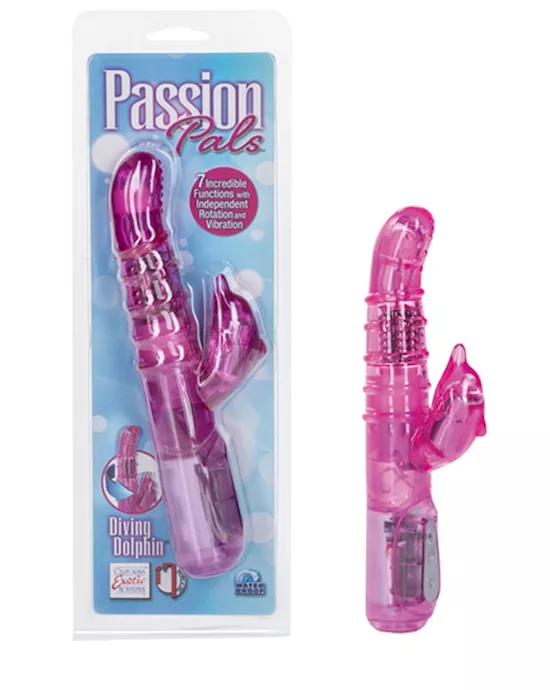 Passion Pals Diving Dolphin