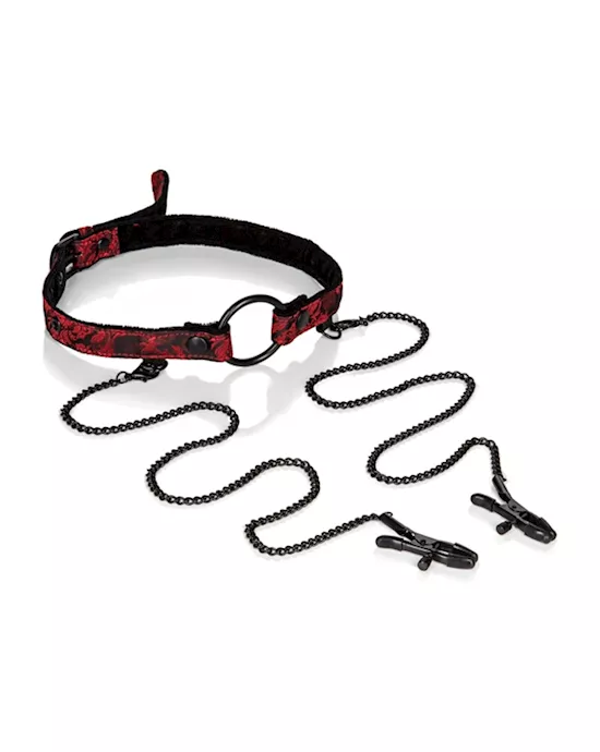 Scandal Open Mouth Gag With Clamps