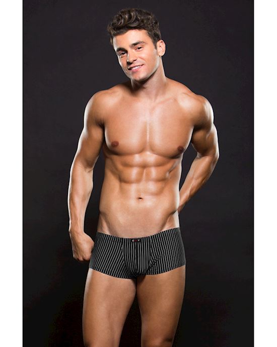 Envy Microfiber Trunk L Xl  Pinstripe