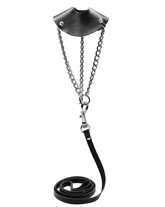 By the Balls Scrotum Stretching Kit with Leash