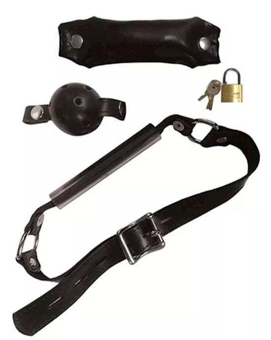 Switch Out Silencer