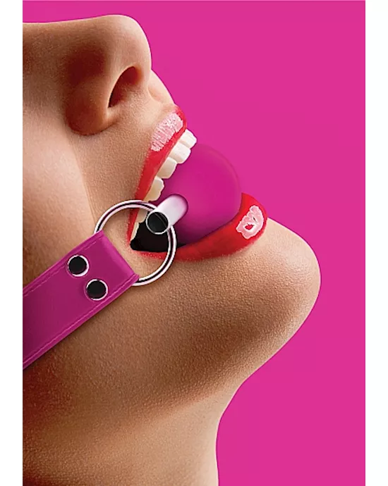 Solid Ball Gag