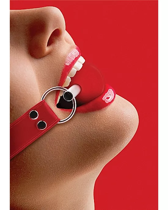 Solid Ball Gag