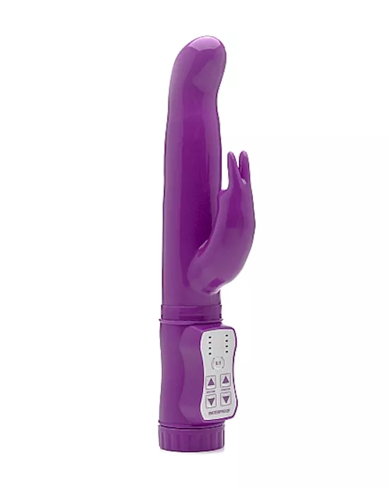 Rabbit II Purple