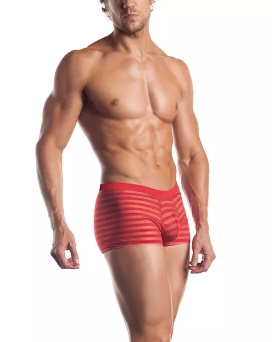 Striped Mesh Boxer