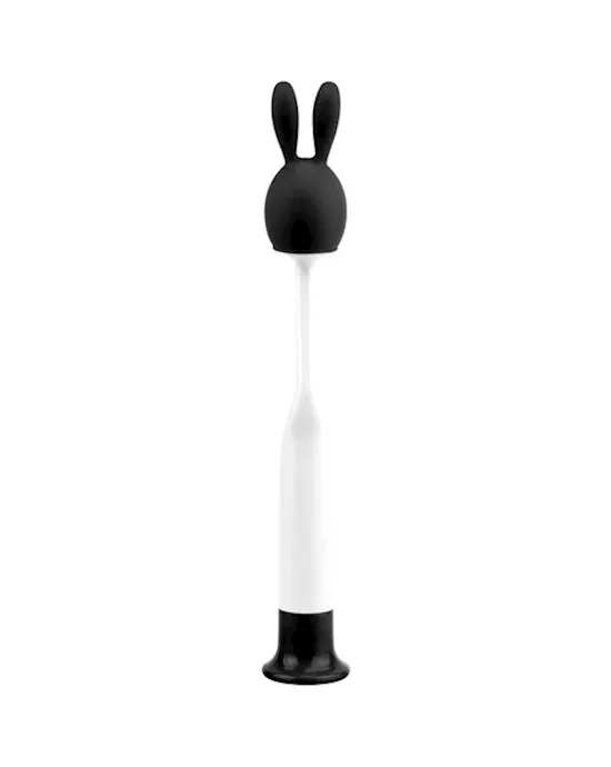 PoP Rabbit