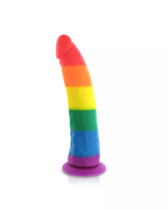 Pride Dildo Silicone Rainbow Dildo